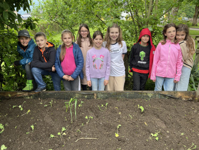 Arbeit im Schulgarten 4.Kl. Mai 2023 (6)