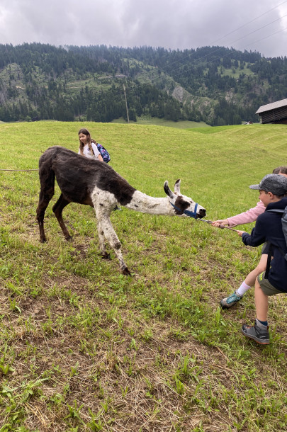 Lesachtal 4. Kl. Juni 2024 Dienstag (23)