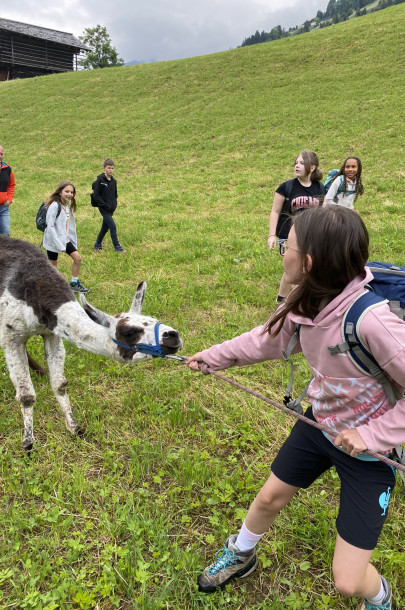 Lesachtal 4. Kl. Juni 2024 Dienstag (24)