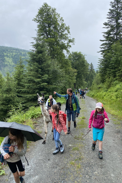 Lesachtal 4. Kl. Juni 2024 Dienstag (8)