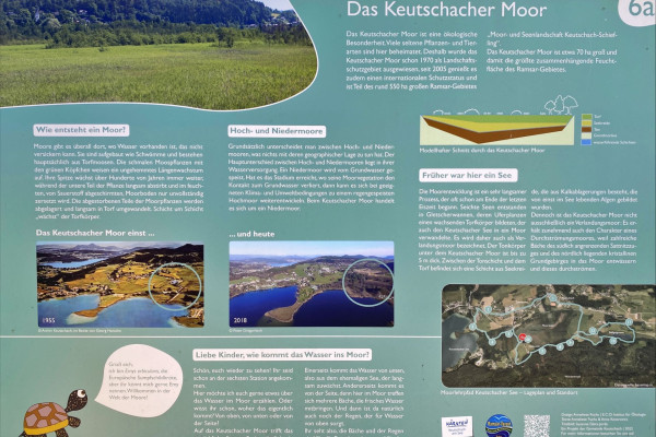 Moorwanderung 3. und 4. Kl. Juni 2024 (23)