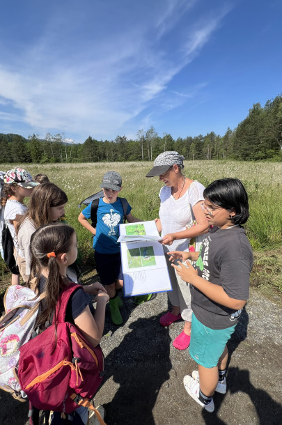 Moorwanderung 3. und 4. Kl. Juni 2024 (7)