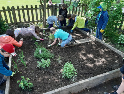 Garten 2.a_3