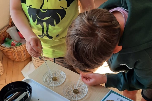 Projekt Wasser 2.a_1