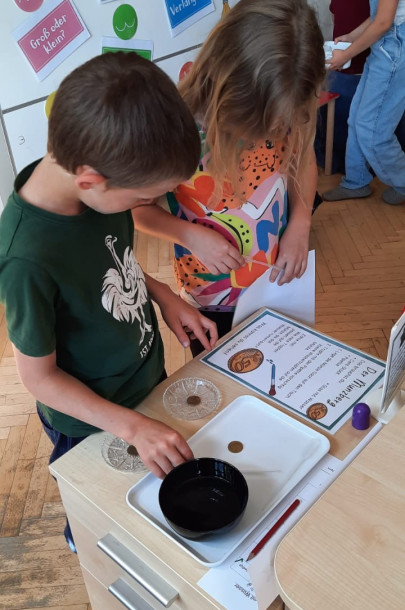 Projekt Wasser 2.a_5