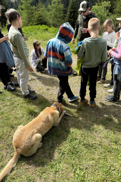 4.a_AktivtageNockberge_23